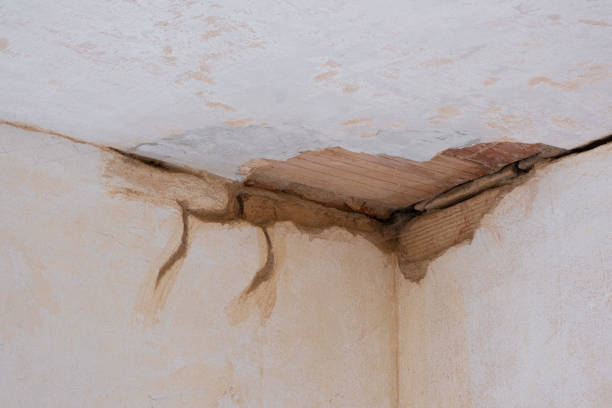 Best Mold removal after water damage  in Slaughterville, OK